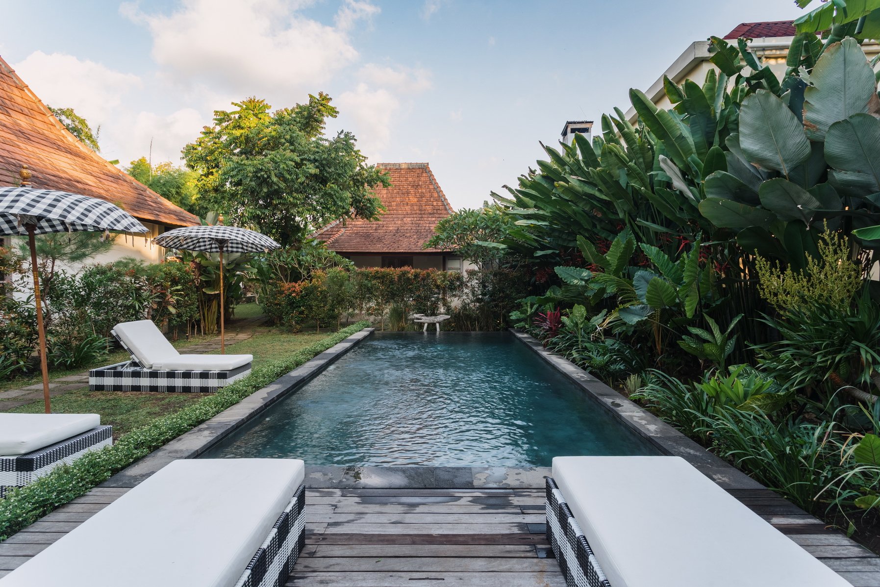 Swimming pool with lounge chairs and umbrellas on a wooden deck, surrounded by lush green plants and trees in a backyard setting.