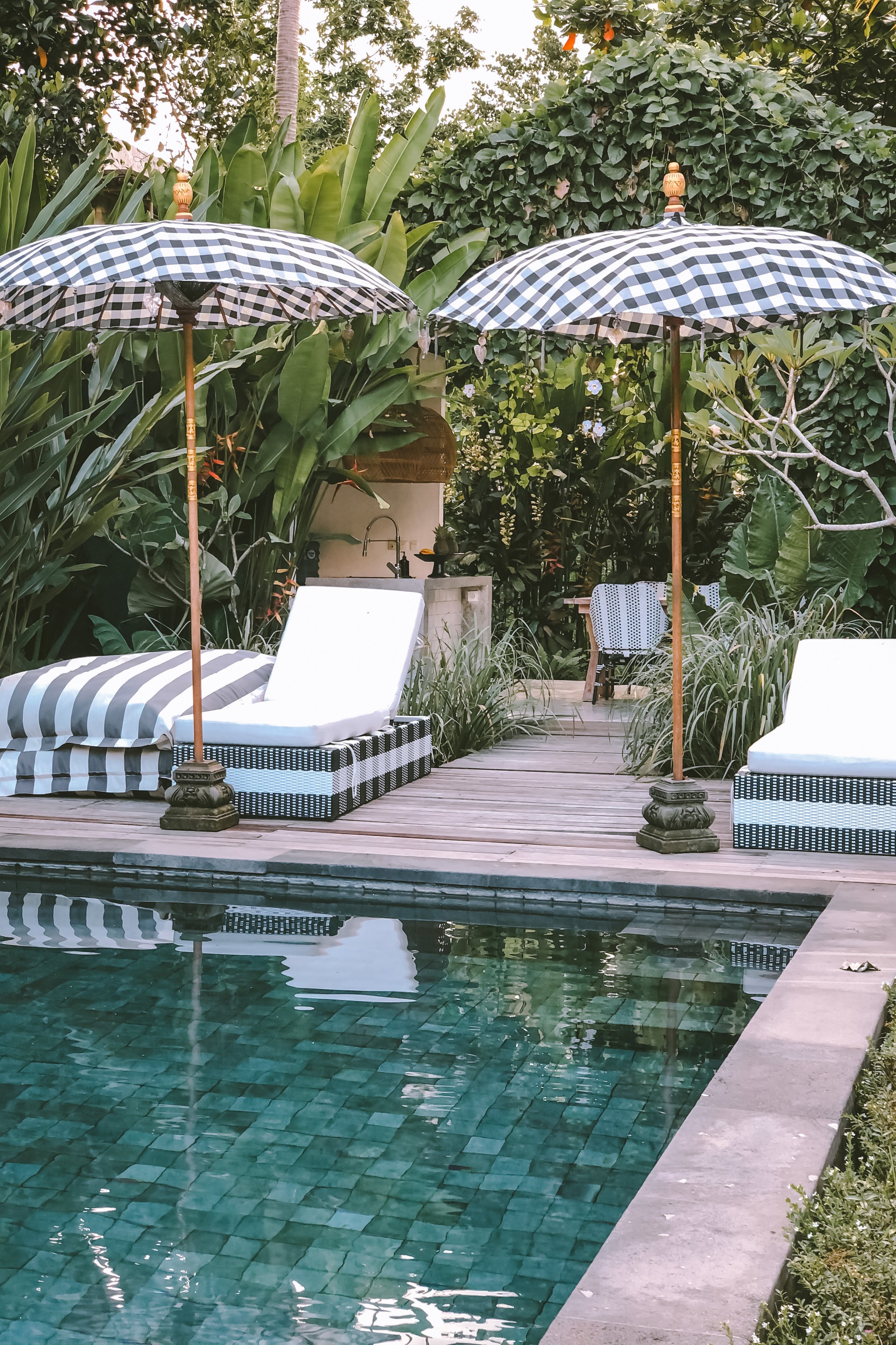 A backyard scene with two blue and white checkered umbrellas, lounge chairs, and a swimming pool surrounded by lush greenery and plants.